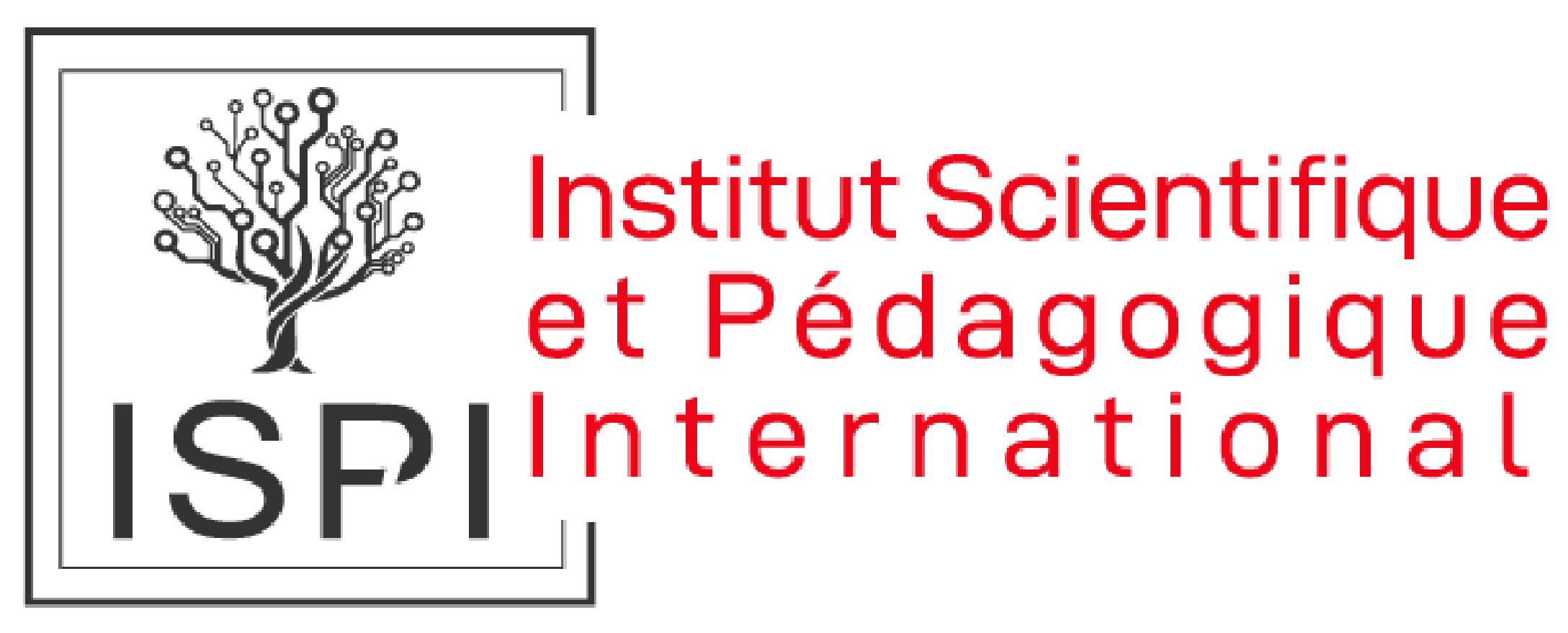 International Scientific and Pedagogical Institute, France