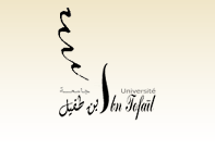 The University Ibn Tofail, Kenitra (Morocco)